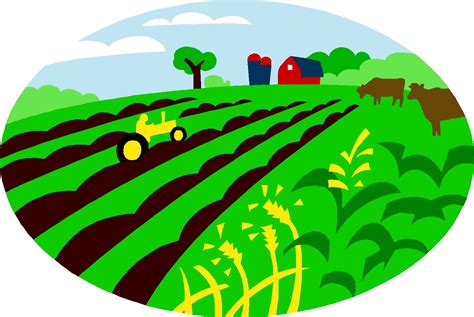 Farming is a diverse industry that can include grains, livestock and produce. . Agricultural clipart